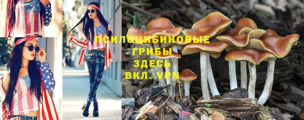 синтетический гашиш Балабаново